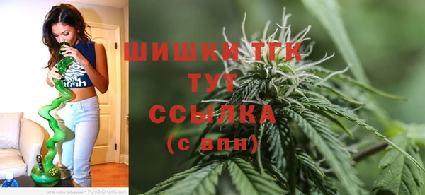 сатива Абдулино