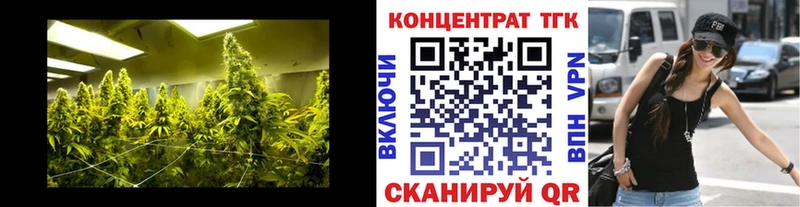 ТГК гашишное масло  ссылка на мегу как зайти  Шадринск 